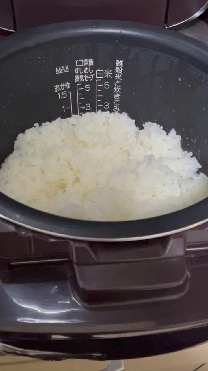 象印 B531-6B ZOJIRUSHI 炊飯器用内釜 圧力IH炊飯ジャー なべ