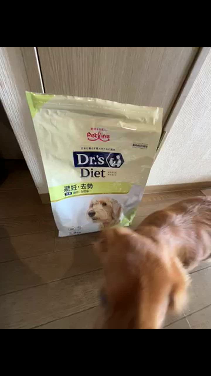 ドクターズダイエット 犬 避妊・去勢 3.8kg リニューアル : 良品