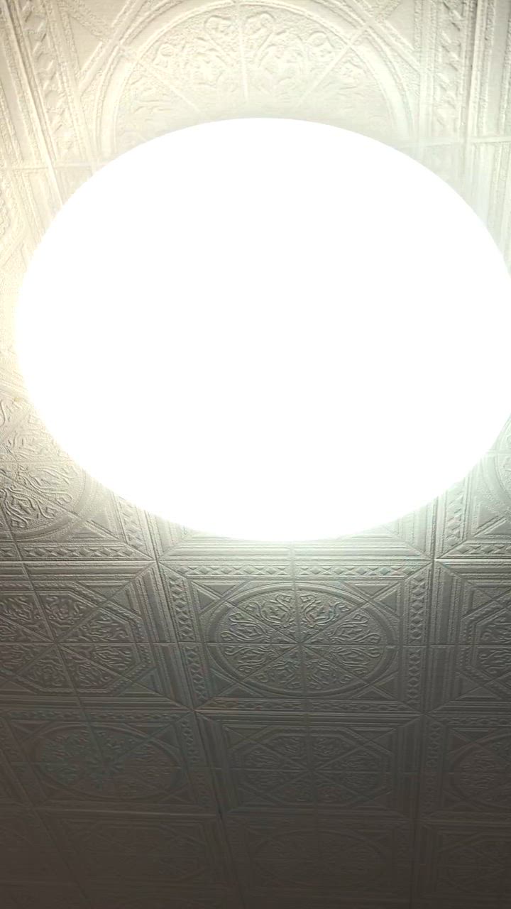 全体のレビュー動画のサムネイル | 8