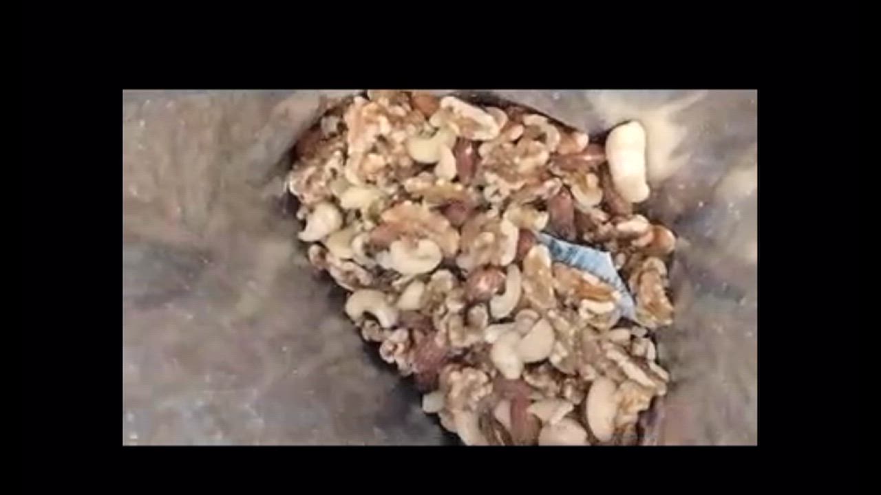 全体のレビュー動画のサムネイル | 16