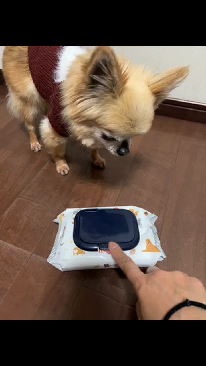 全体のレビュー動画のサムネイル | 2