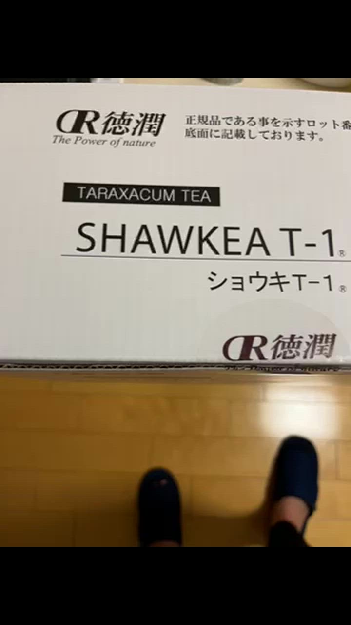 タンポポ茶 ショウキT−1 30袋 (30袋×1箱) ショウキT1 たんぽぽ