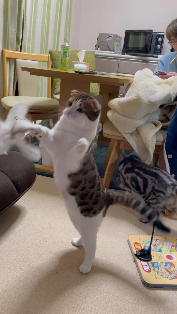 全体のレビュー動画のサムネイル | 4