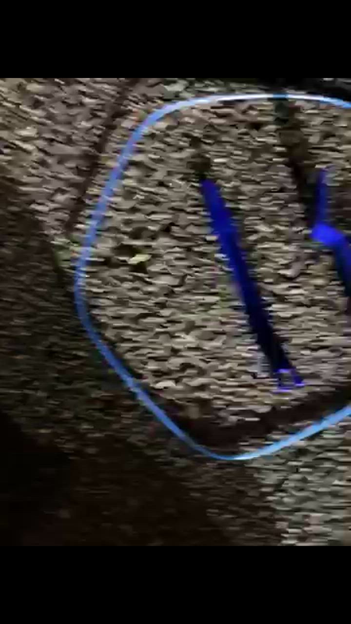 全体のレビュー動画のサムネイル | 1