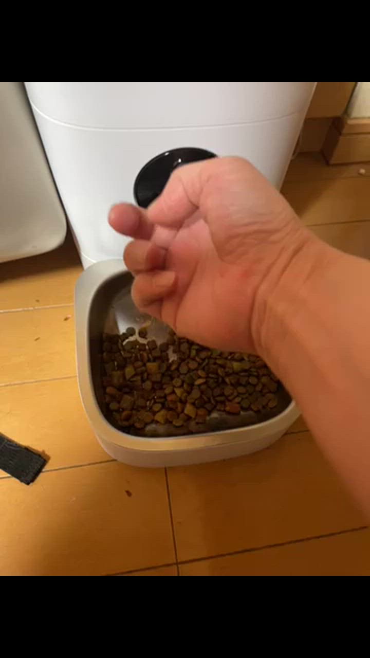全体のレビュー動画のサムネイル | 5