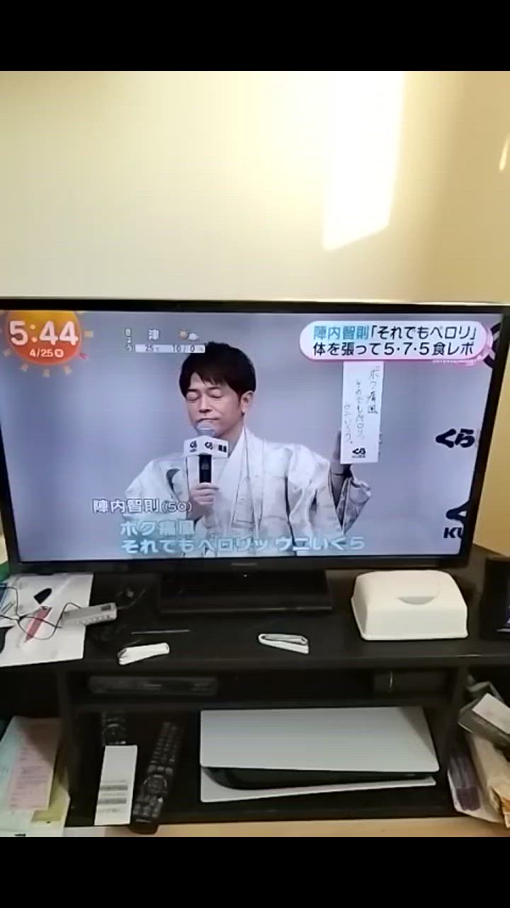 VIERA TH-32J300 32型 パナソニック 液晶テレビ ビエラ 32インチ