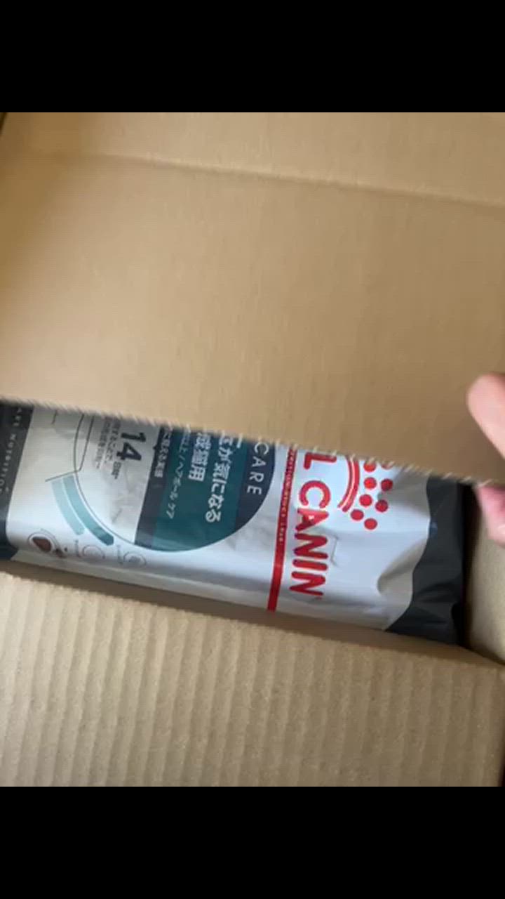 全体のレビュー動画のサムネイル | 4