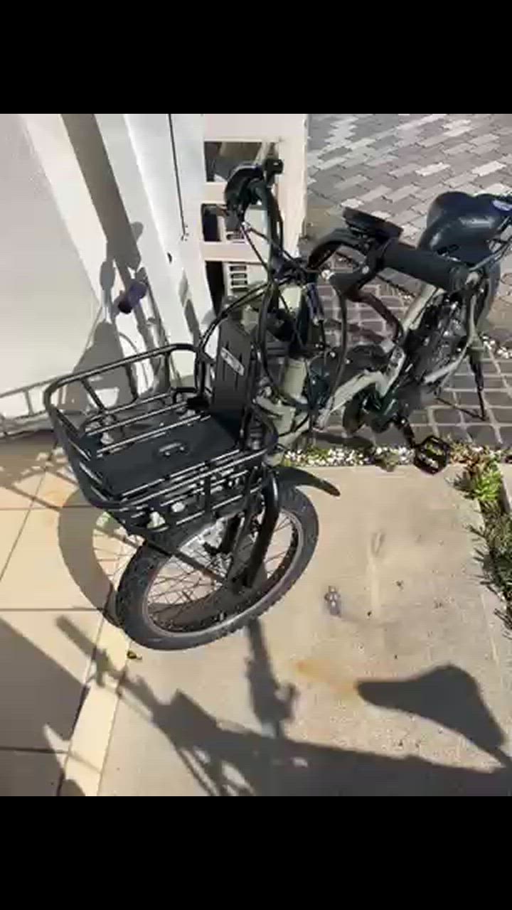 EZ 【5のつく日☆3000円クーポン】電動自転車 小径モデル