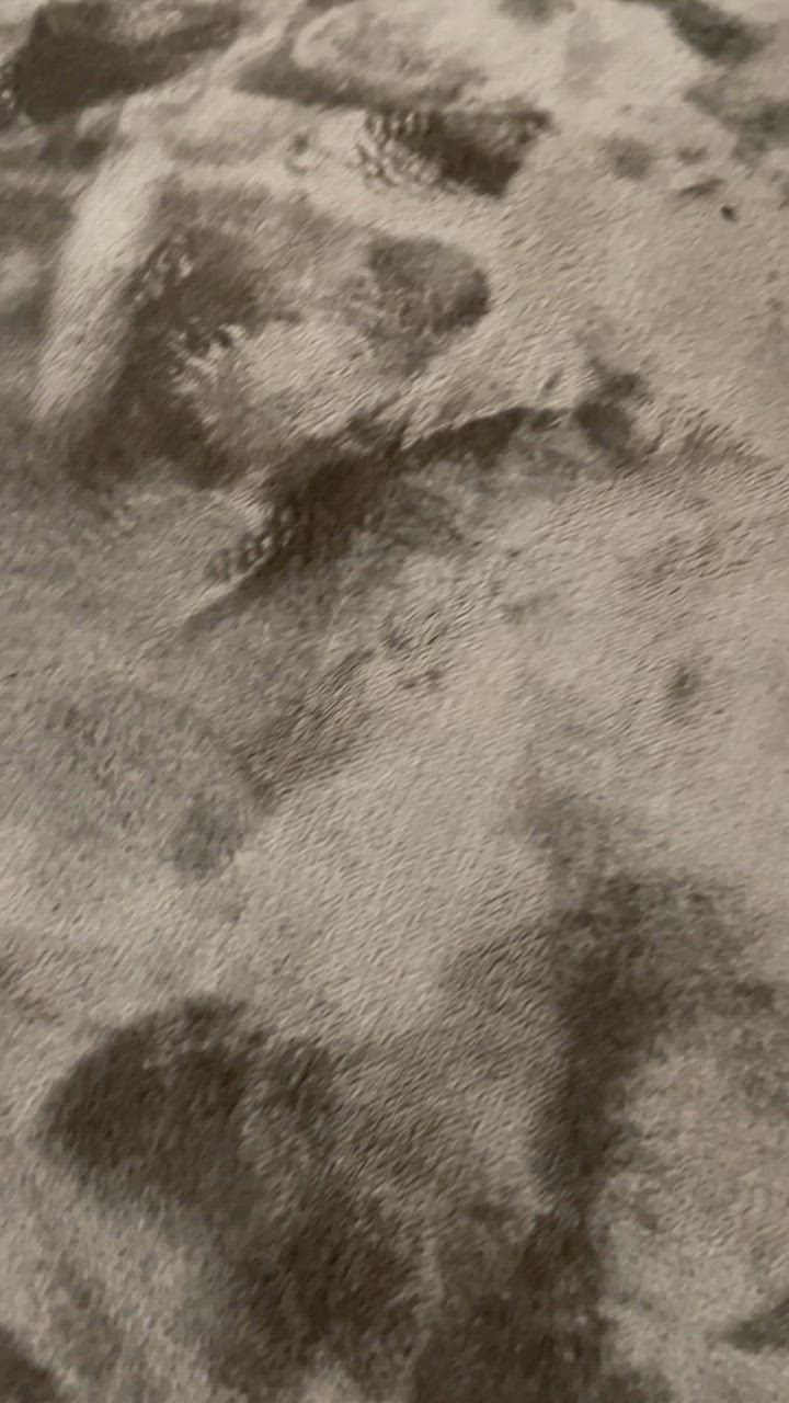 全体のレビュー動画のサムネイル | 2