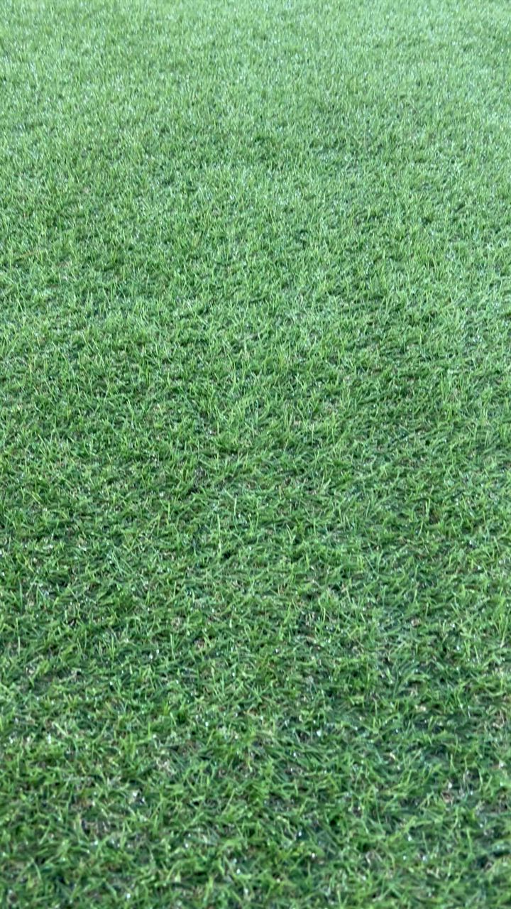 全体のレビュー動画のサムネイル | 1