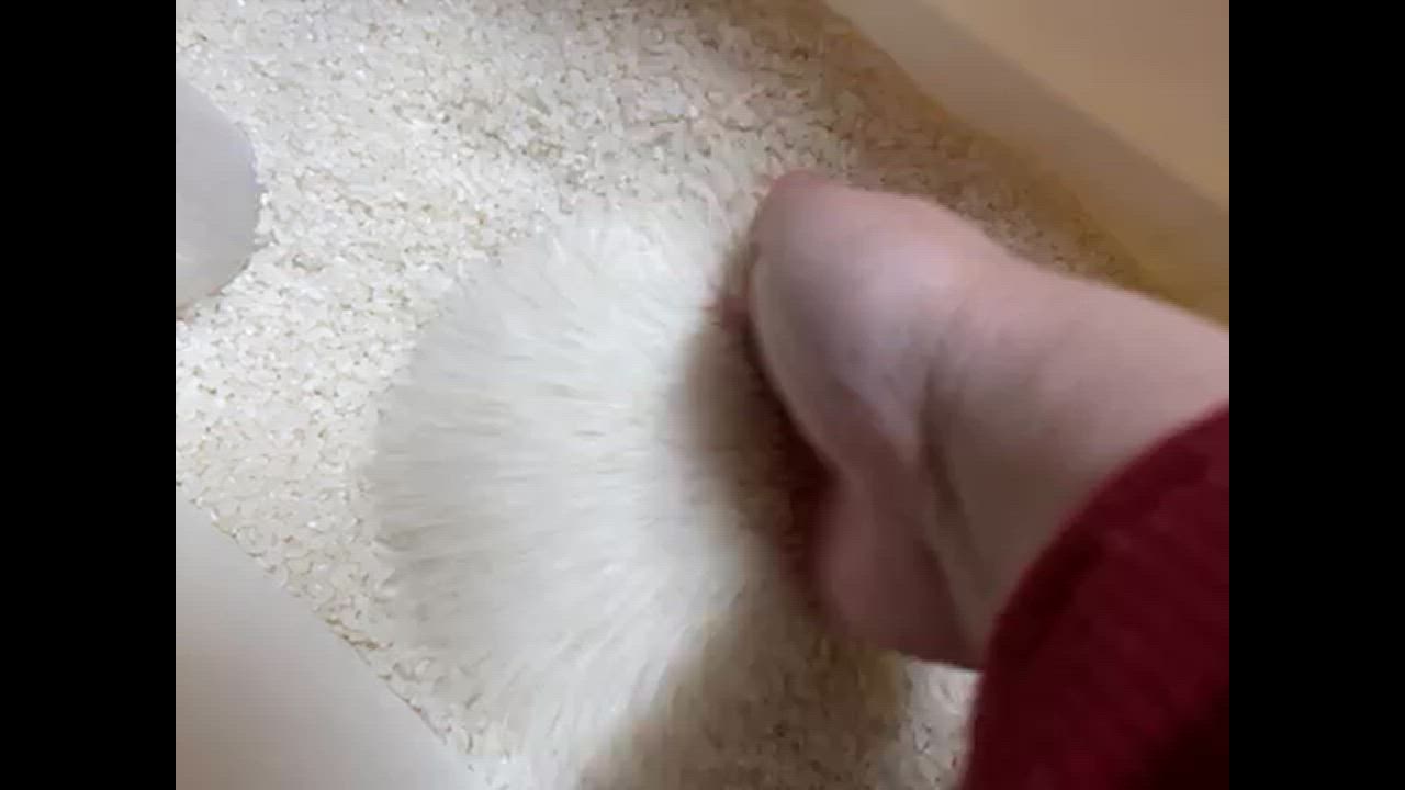 全体のレビュー動画のサムネイル | 1