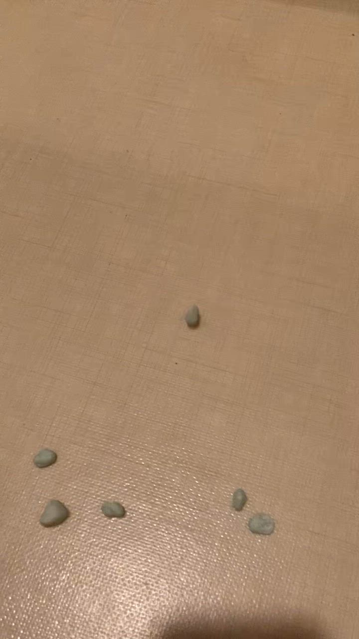 全体のレビュー動画のサムネイル | 6
