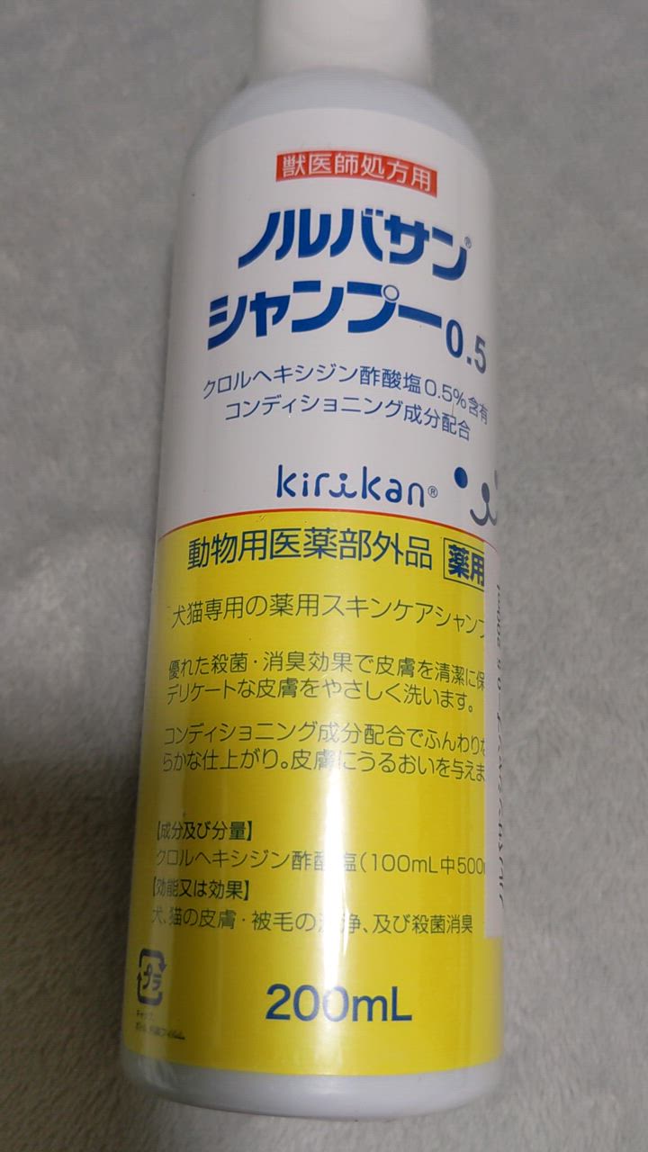 全体のレビュー動画のサムネイル | 0