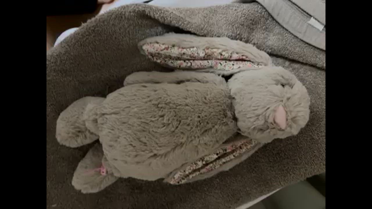 JELLY CAT Jellycat ぬいぐるみ たれ耳 うさぎ Mサイズ バニー JELLY CAT Jellycat ぬいぐるみ たれ耳 うさぎ Mサイズ バニー