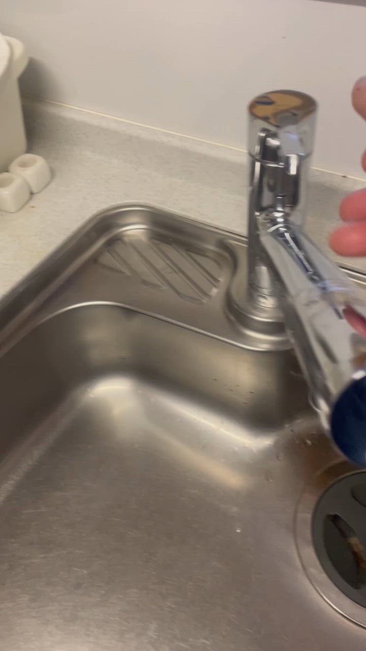 TOTO TKS05308JA 台付シングル混合水栓 浄水器兼用 ハンド