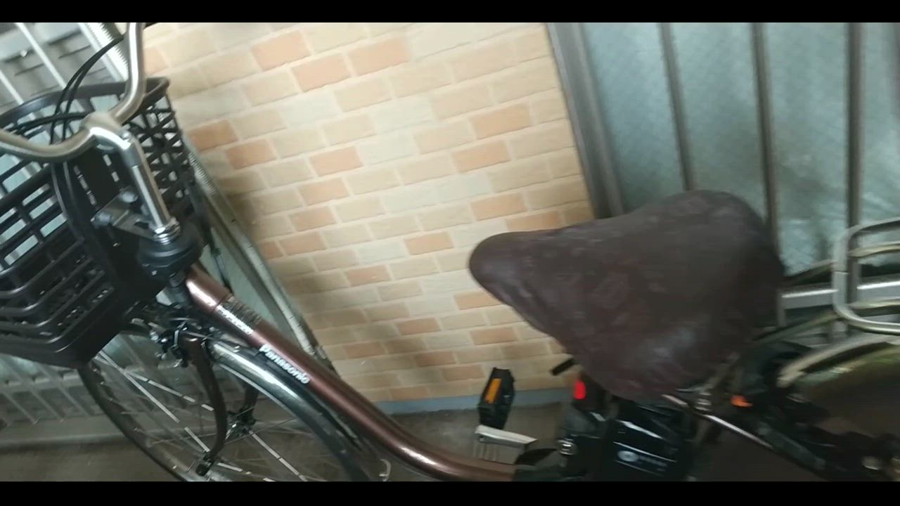 ViVi 電動自転車 Panasonic パナソニック 2024年モデル ビビ・DX