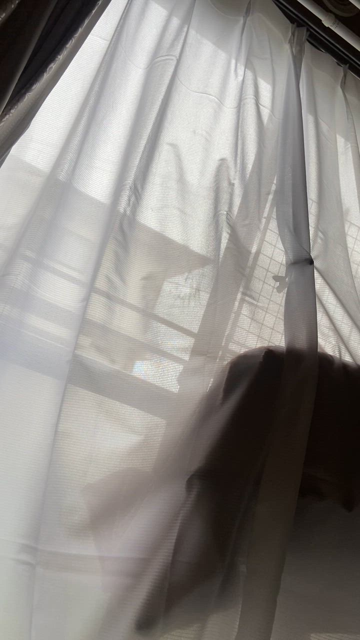 全体のレビュー動画のサムネイル | 16