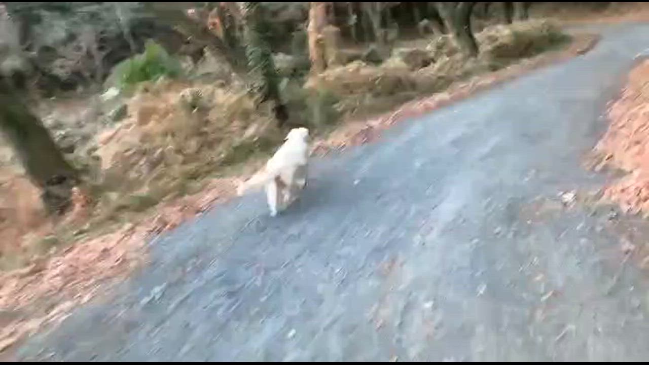 全体のレビュー動画のサムネイル | 0