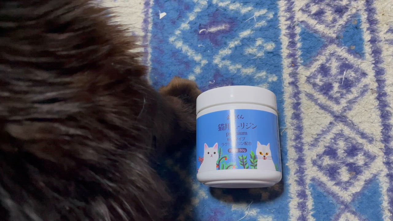 全体のレビュー動画のサムネイル | 10