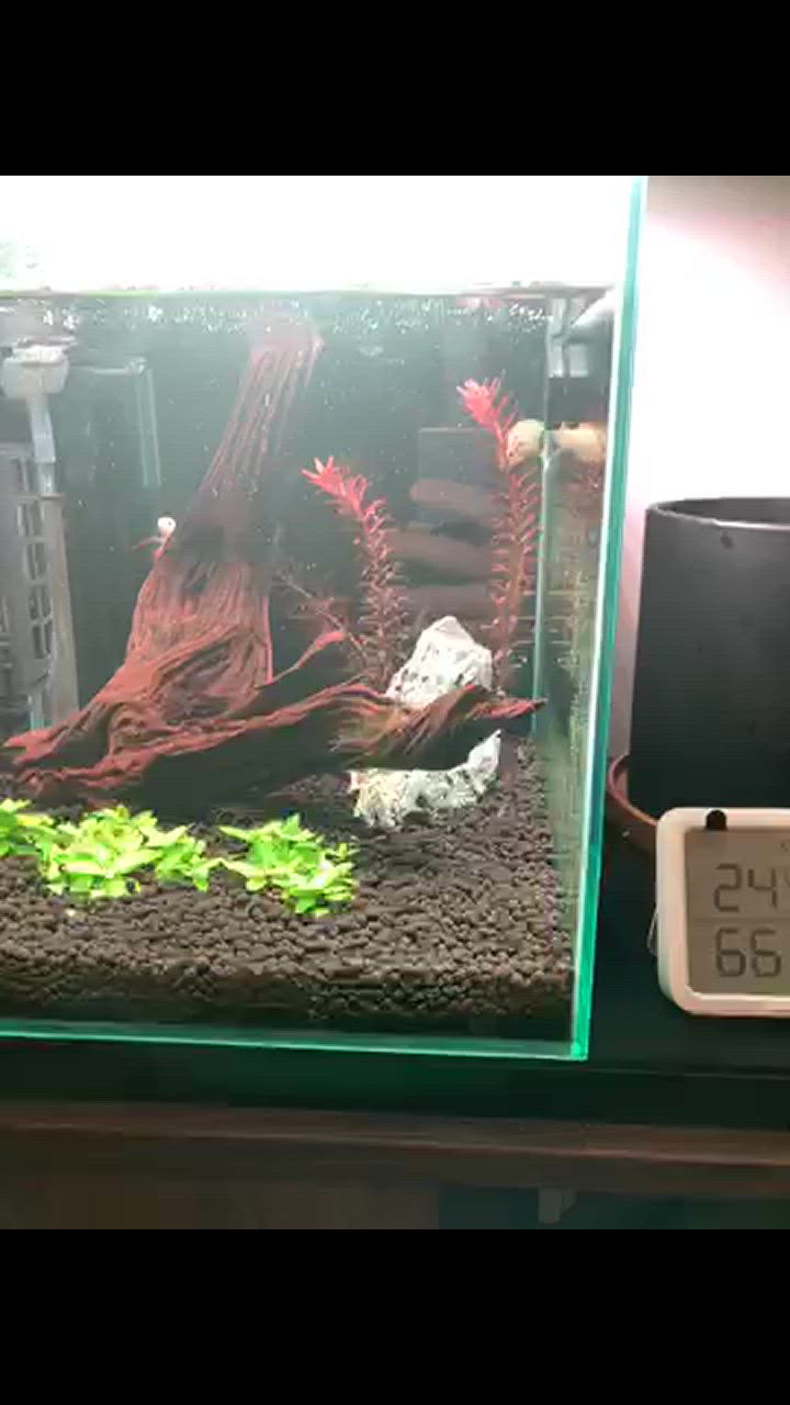 Leaf Corp 30cmキューブ水槽用 丈夫な塩ビ製バック