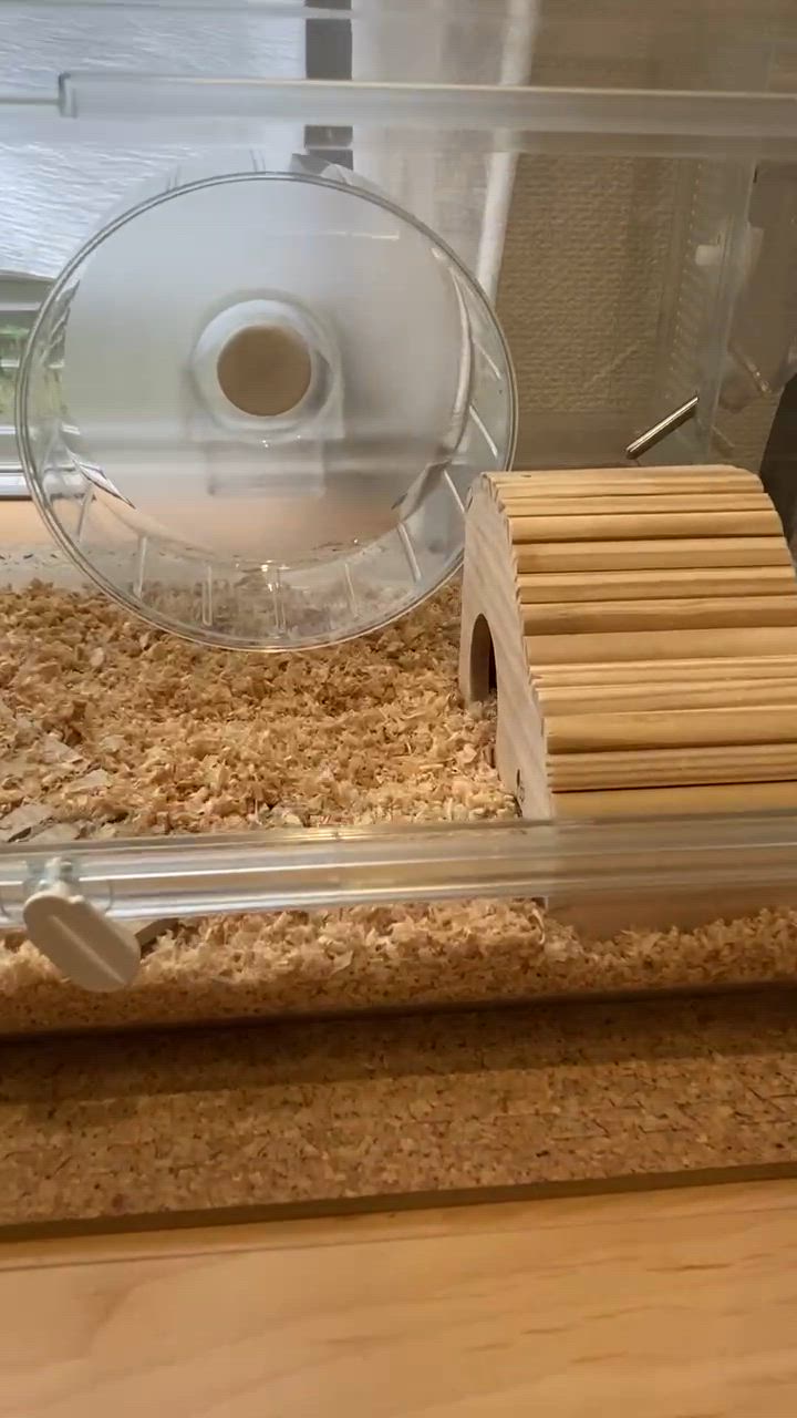 全体のレビュー動画のサムネイル | 0