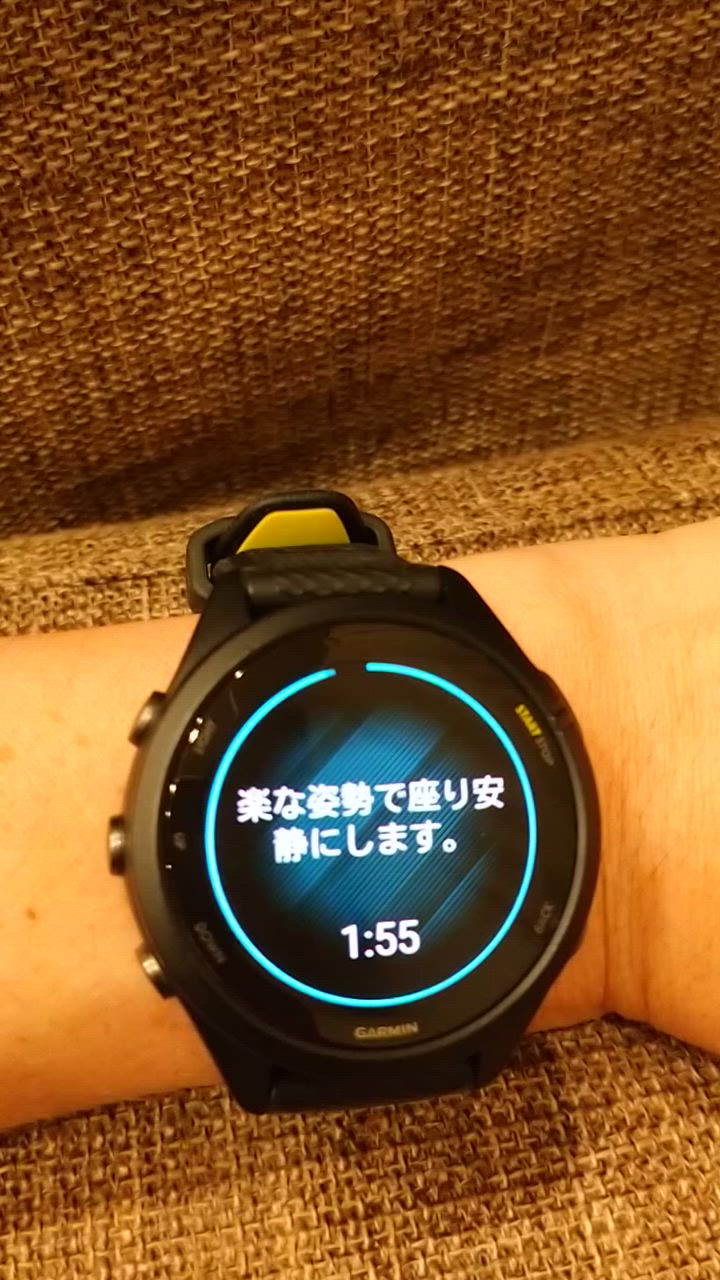 GARMIN GARMIN(ガーミン)GPSランニングウォッチ Forerunner GARMIN GARMIN(ガーミン)GPSランニングウォッチ Forerunner