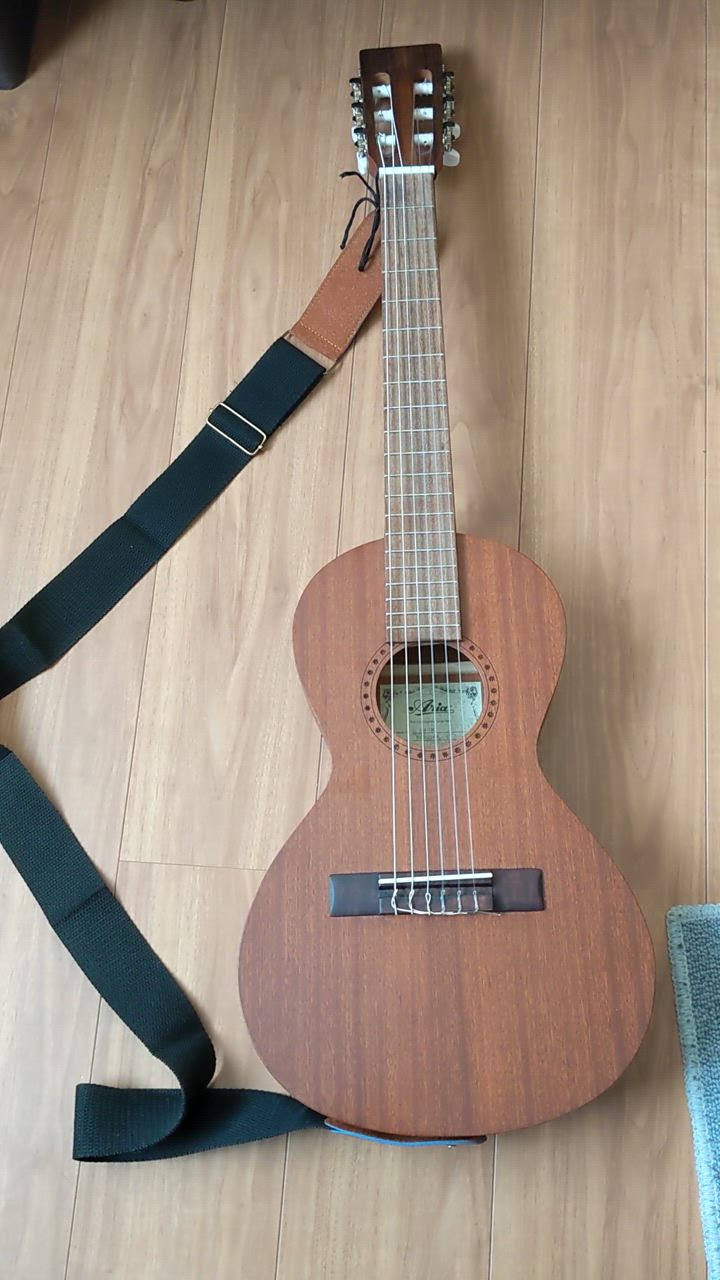 予約販売 調整済 アリア ASA-18C パーラーギター ミニギター 