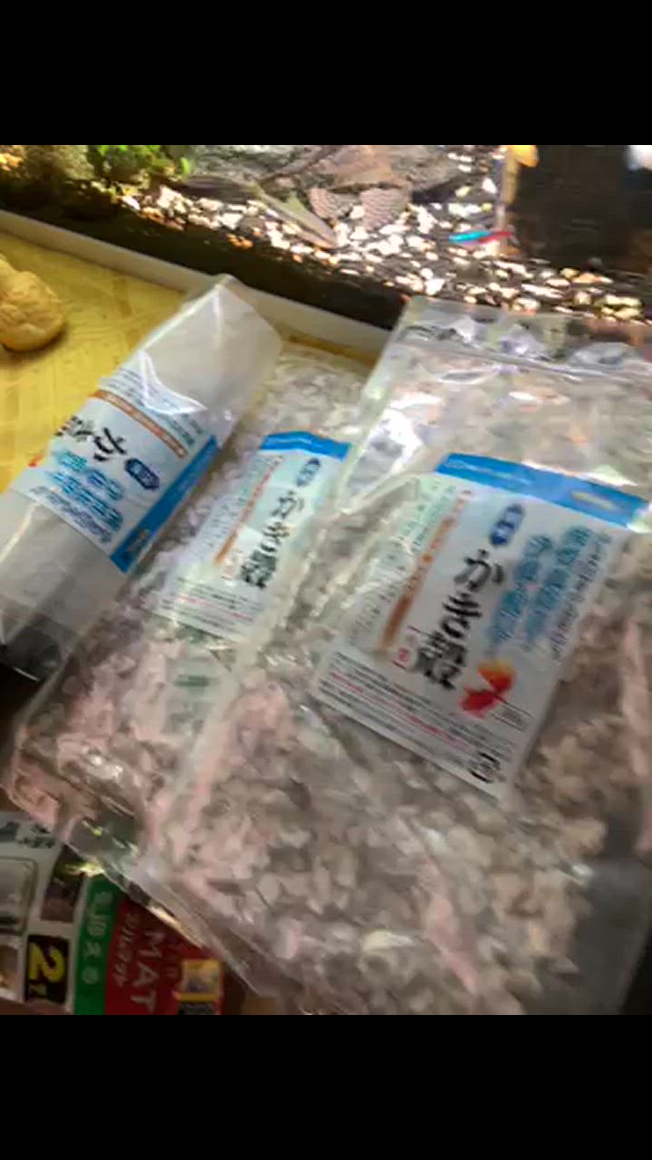 かき殻 300g 牡蠣殻 水槽 水 綺麗 水質浄化 金魚 メダカ用 SMILE