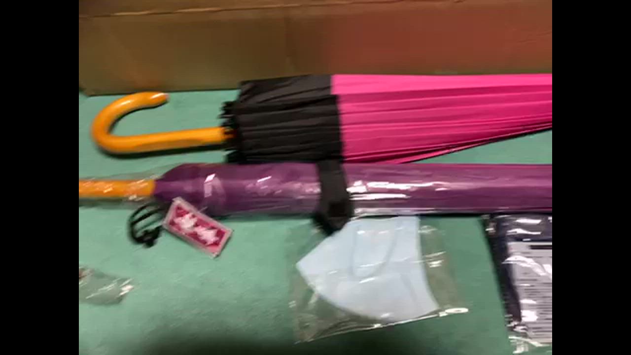 エコバックプレゼント 【2本セット】 24本骨傘JK-146 和傘 雨傘