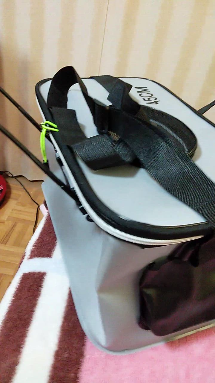 釣り バッカン フィッシュ フィッシングバッグ 折りたたみ