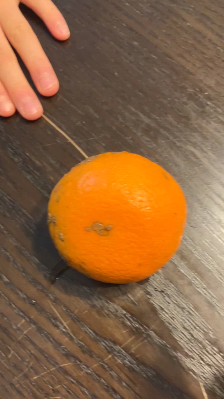 全体のレビュー動画のサムネイル | 19