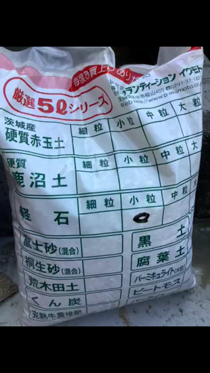 7件目のレビュー動画のサムネイル | 0