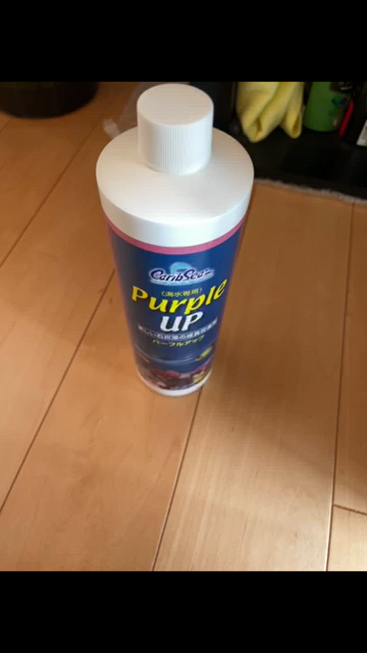 カミハタ カミハタ カリブシー パープルアップ 480ml 海水