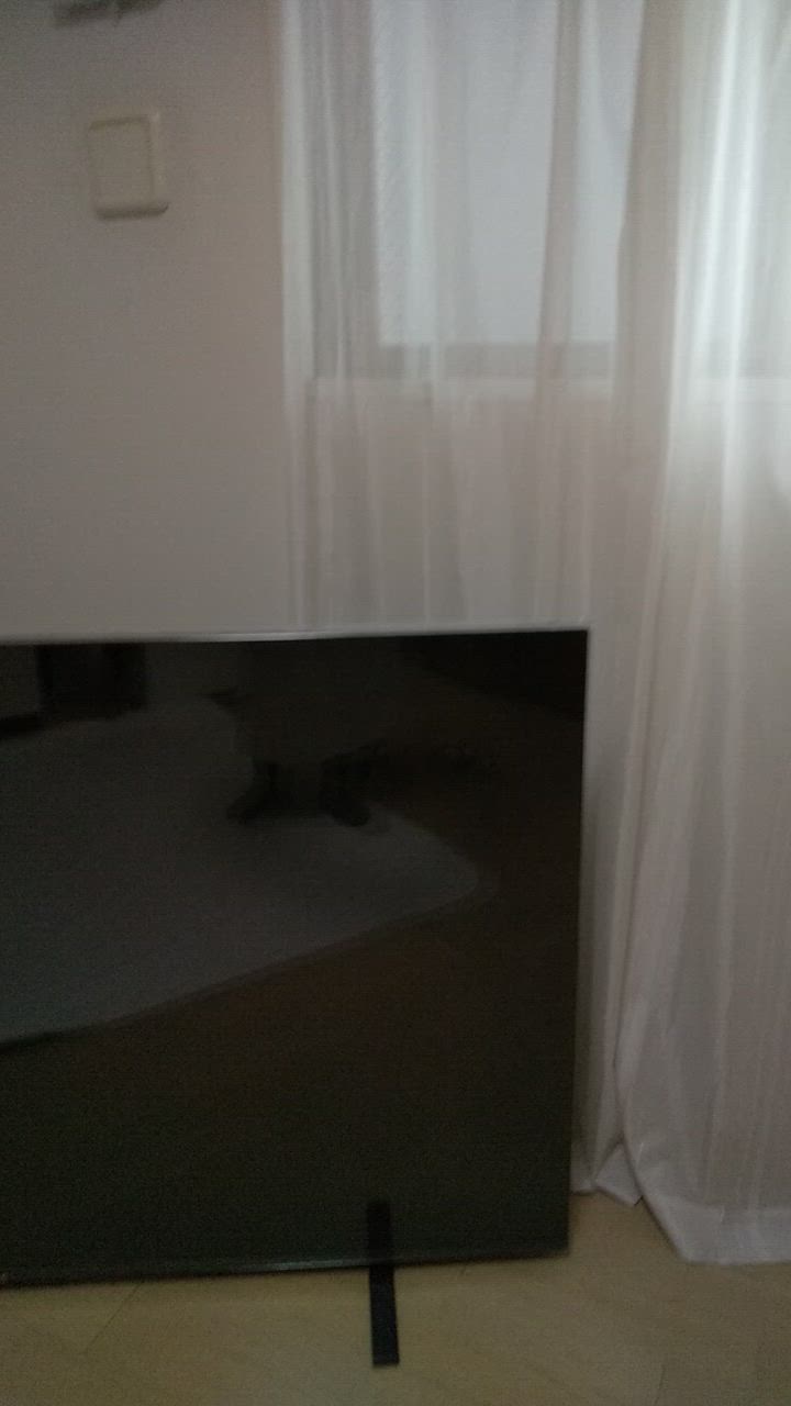 全体のレビュー動画のサムネイル | 0