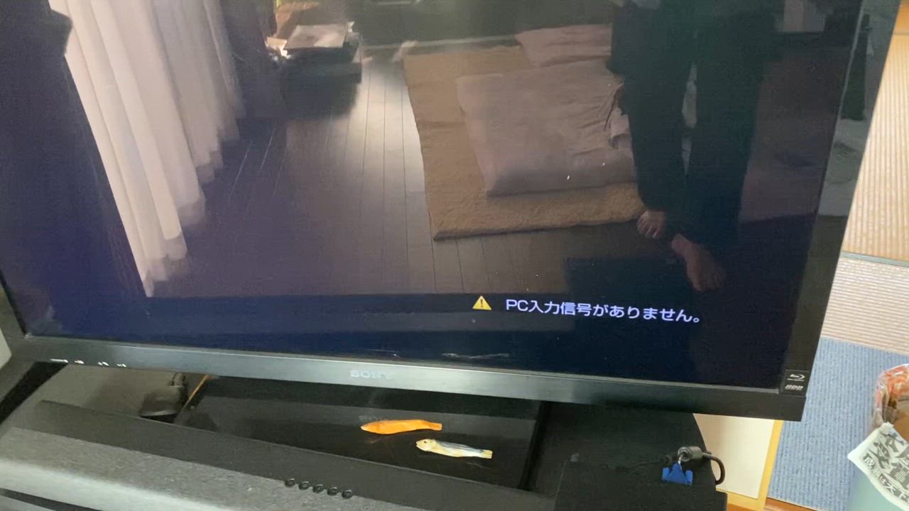 全体のレビュー動画のサムネイル | 0