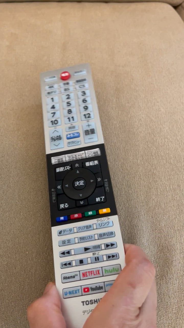 REGZA CT-90491 新品純正リモコン 東芝テレビ用(43C340X 50C340X
