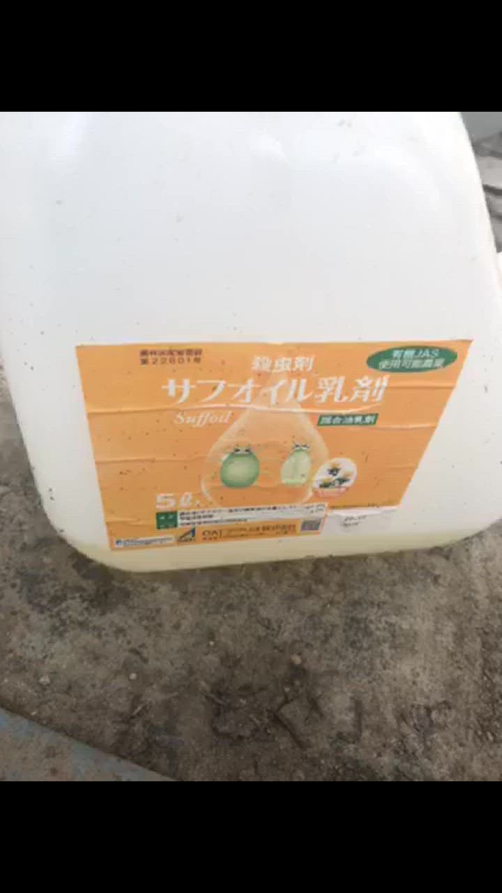 サフオイル乳剤 5L :4970856593000:農家のお店おてんとさん - 通販 - Yahoo!ショッピング 園芸用品 |  energostan.kz