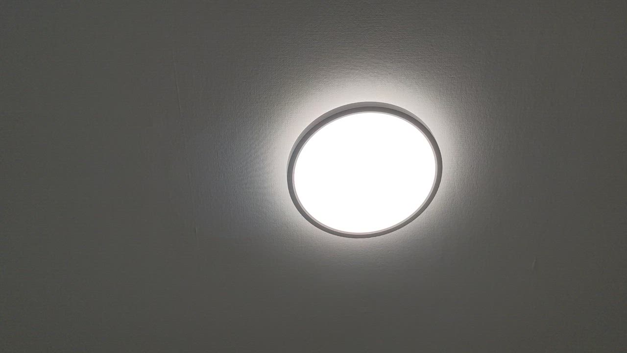 全体のレビュー動画のサムネイル | 13