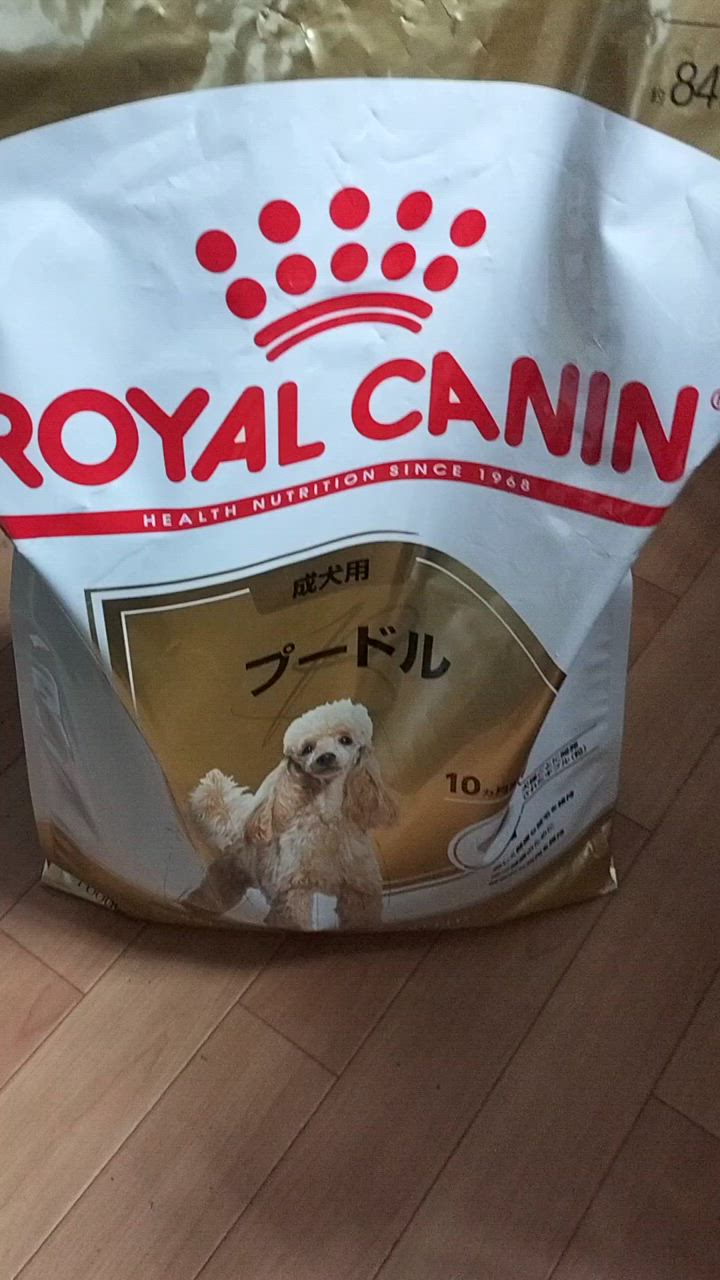 全体のレビュー動画のサムネイル | 5