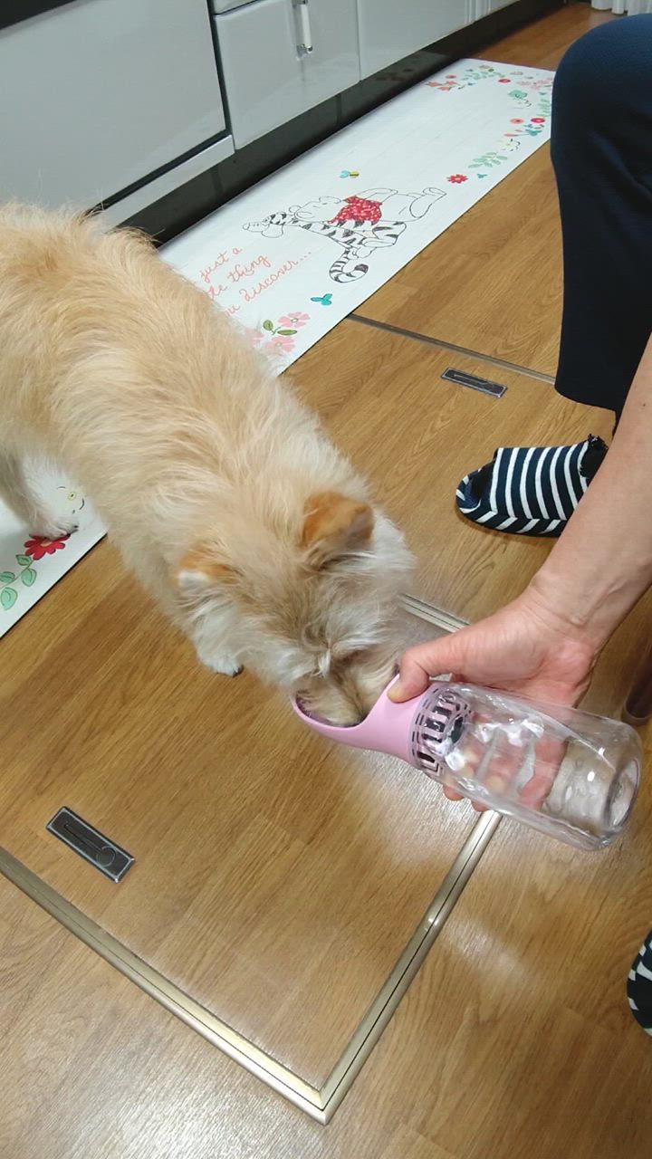 1件目のレビュー動画のサムネイル | 0