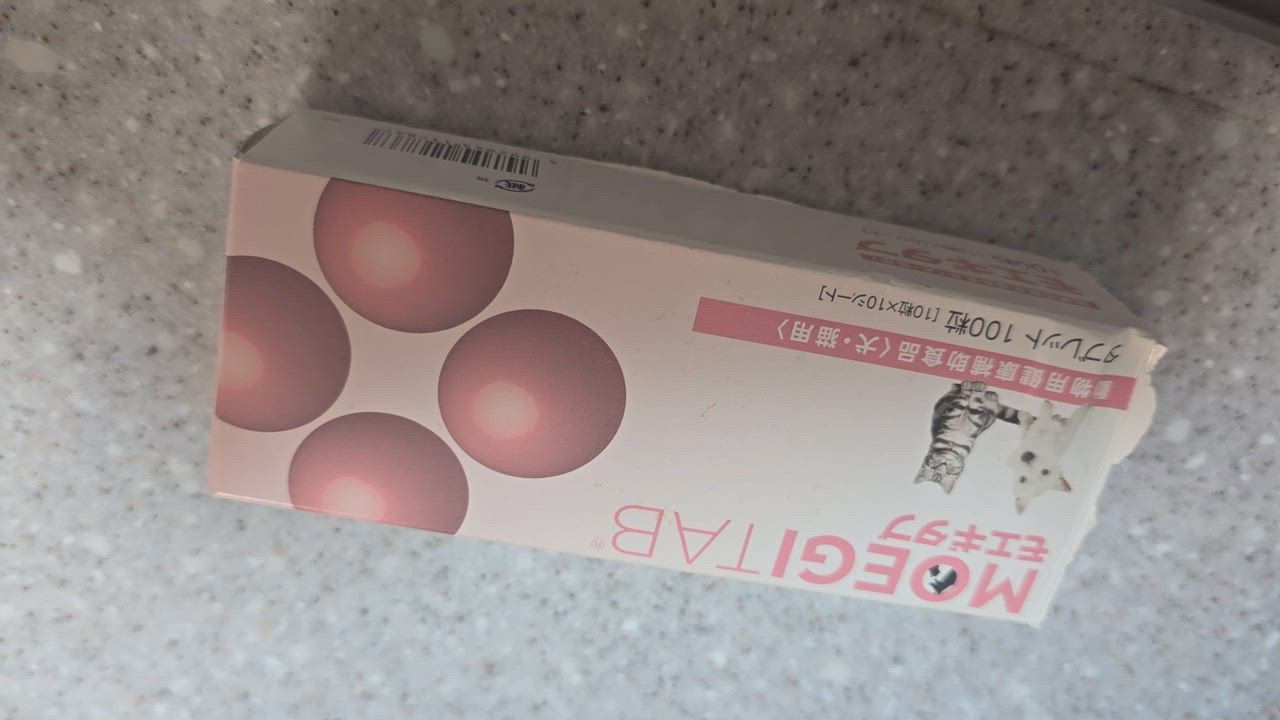 全体のレビュー動画のサムネイル | 3