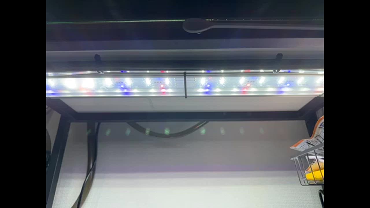 全体のレビュー動画のサムネイル | 0