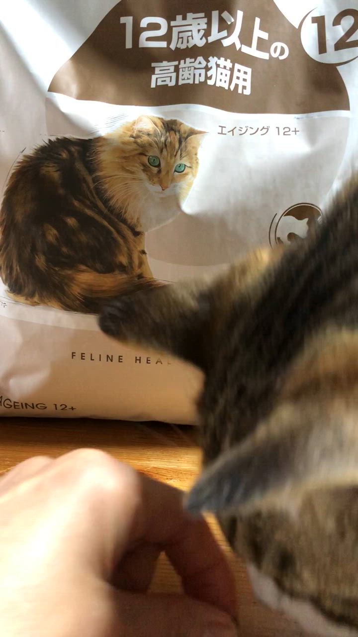 ロイヤルカナン FHN エイジング 12+ 高齢猫用 12歳以上 4kg (猫