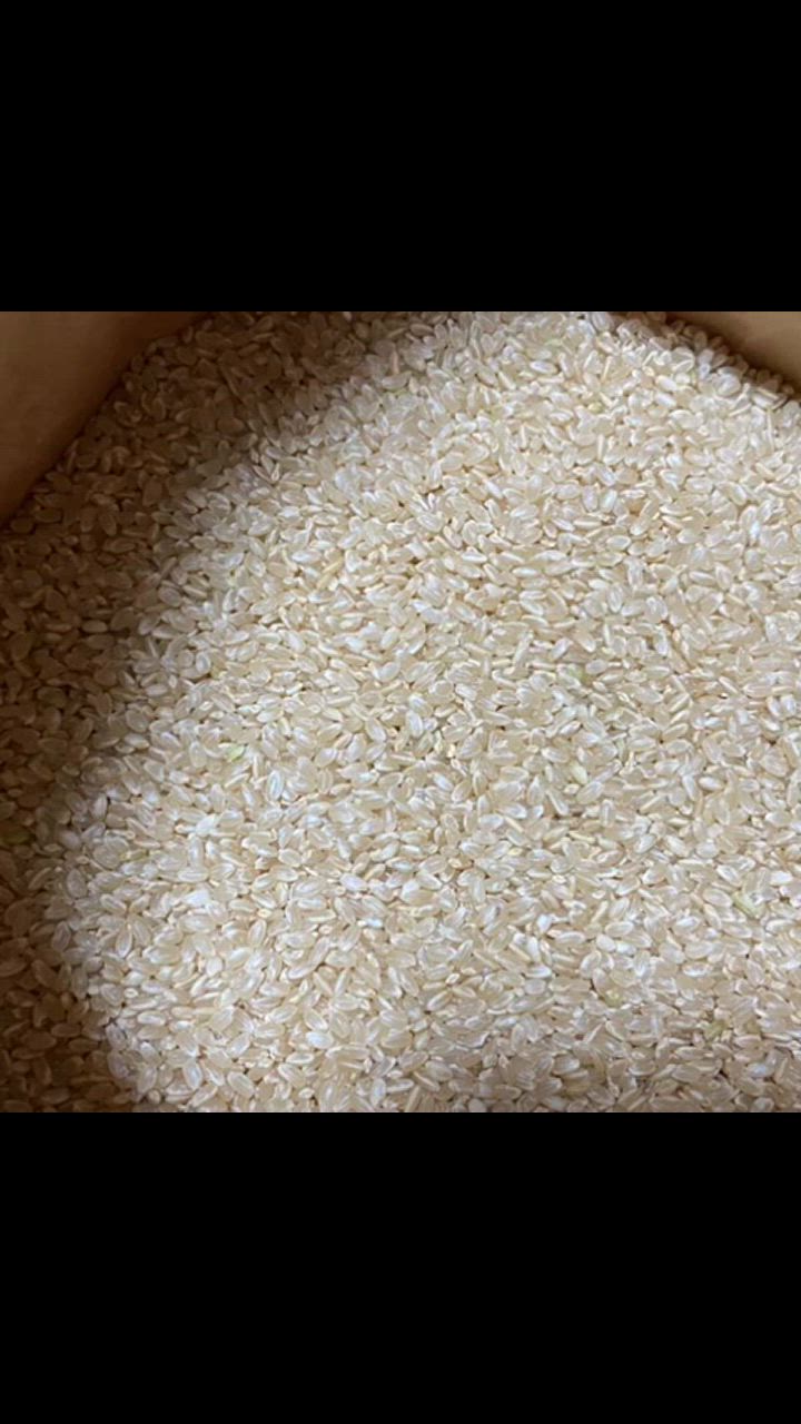 ササニシキ 【次回入荷10月新米】新米 減農薬 有機肥料使用 30kg ササニシキ 【次回入荷10月新米】新米 減農薬 有機肥料使用 30kg