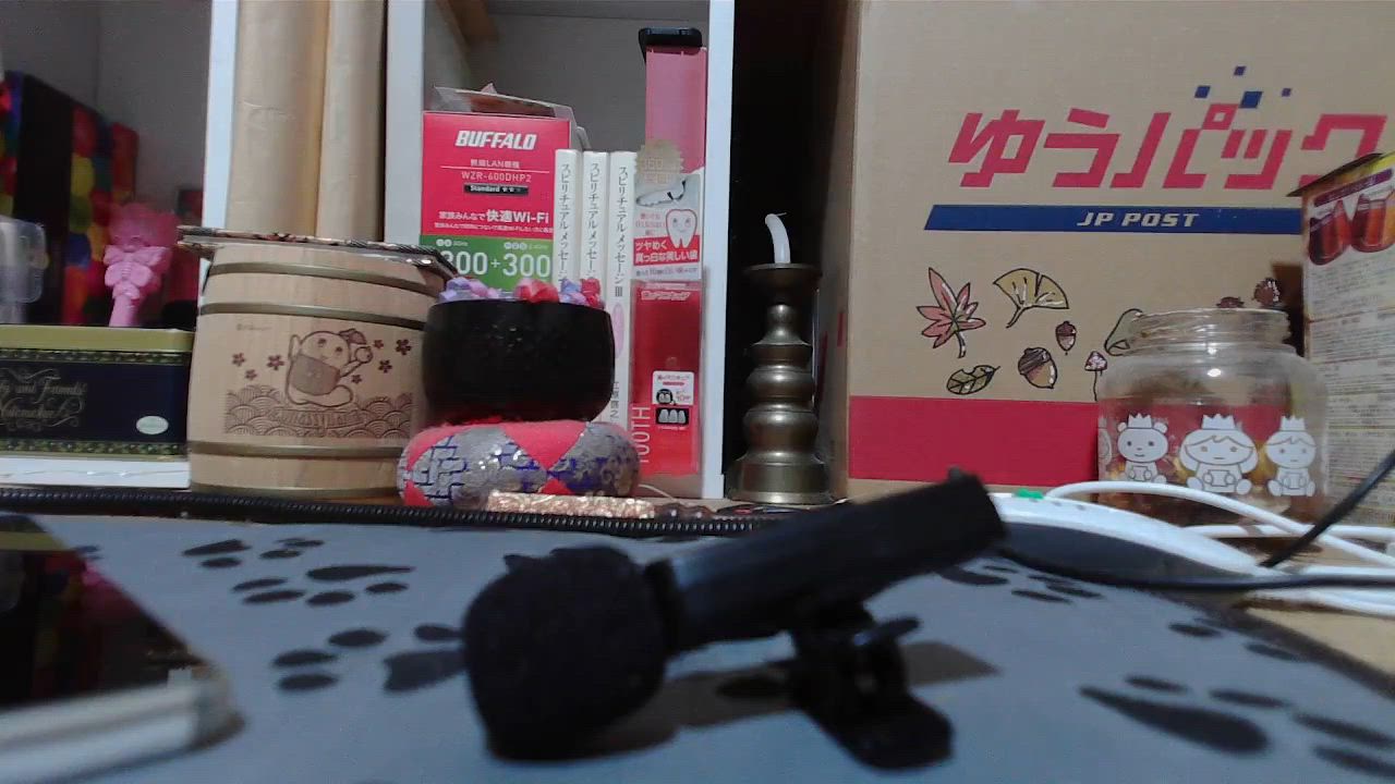 4件目のレビュー動画のサムネイル | 0