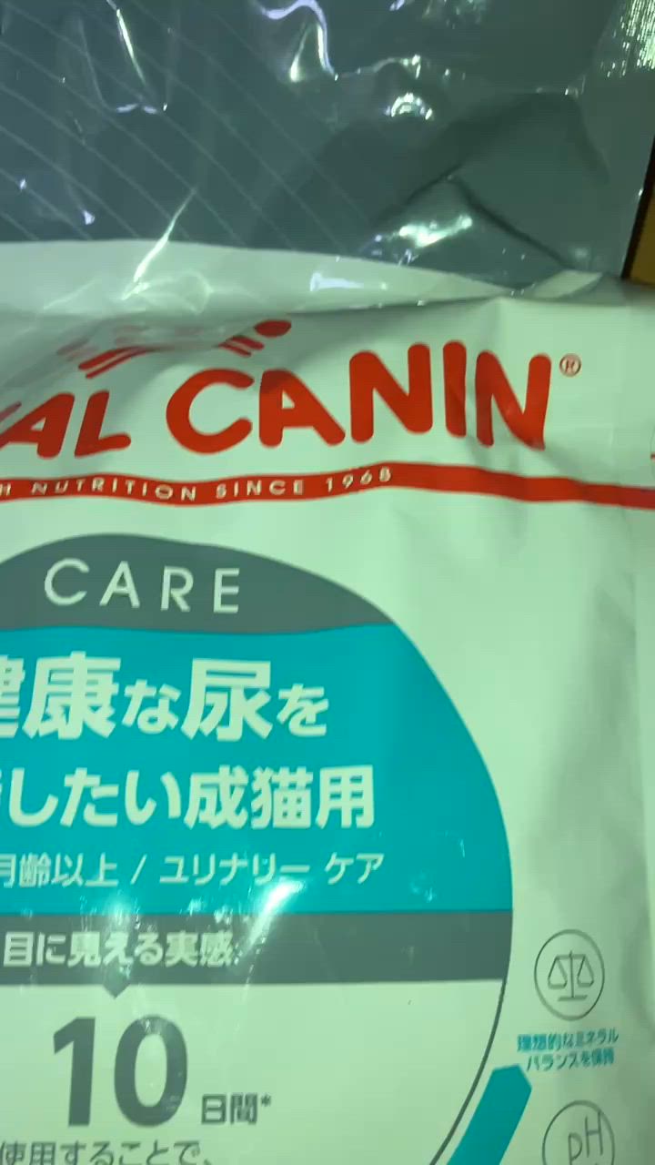 全体のレビュー動画のサムネイル | 4