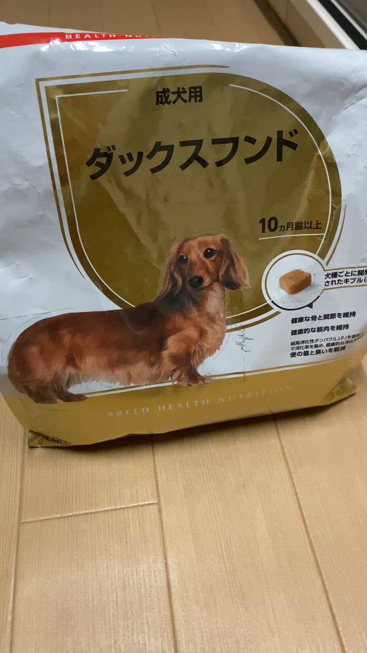 全体のレビュー動画のサムネイル | 2