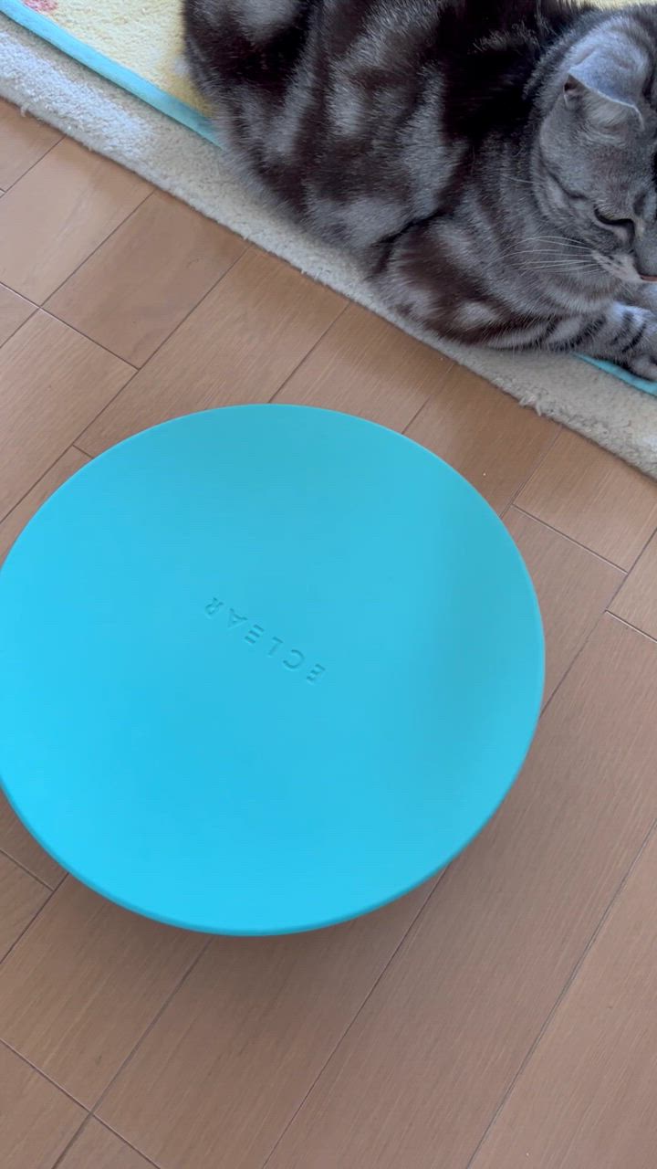 1件目のレビュー動画のサムネイル | 0