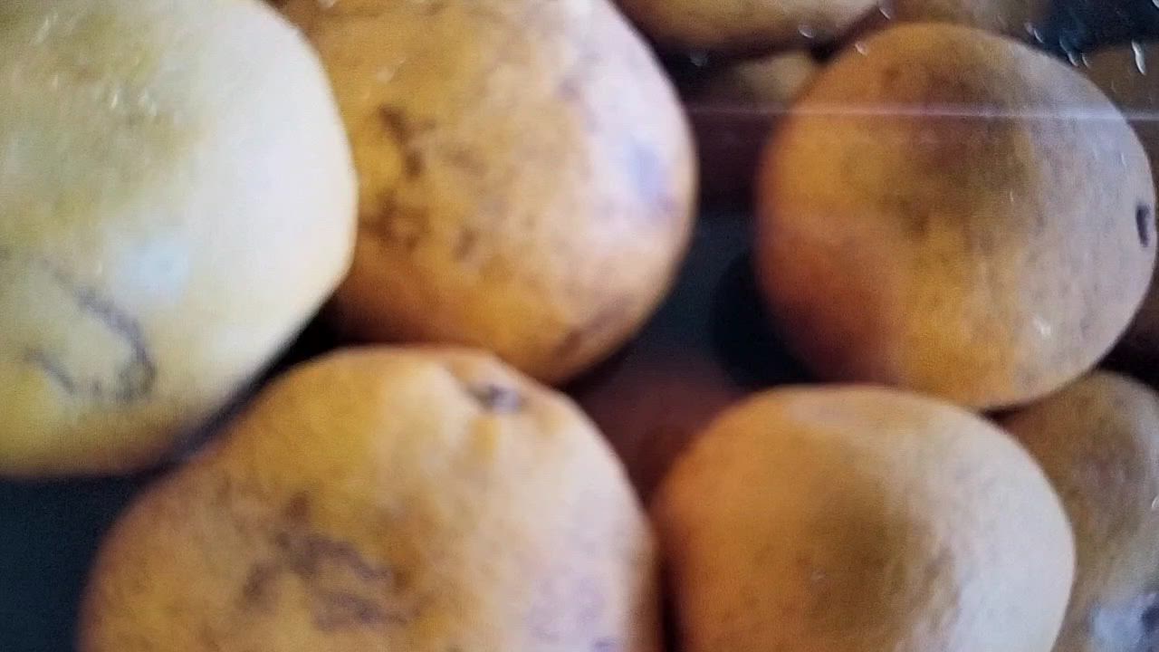 全体のレビュー動画のサムネイル | 8