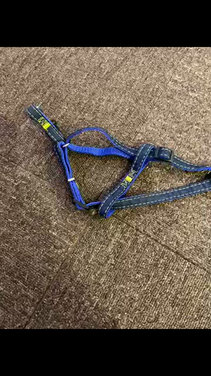 全体のレビュー動画のサムネイル | 10